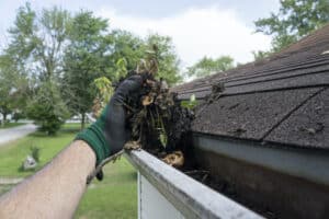 Gutter Cleaning Near Me