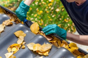 Gutter Cleaning Service Evansville  