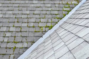 Roof Washing Services Evansville WI