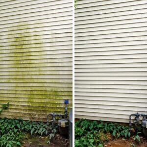Power Washing Siding Services
