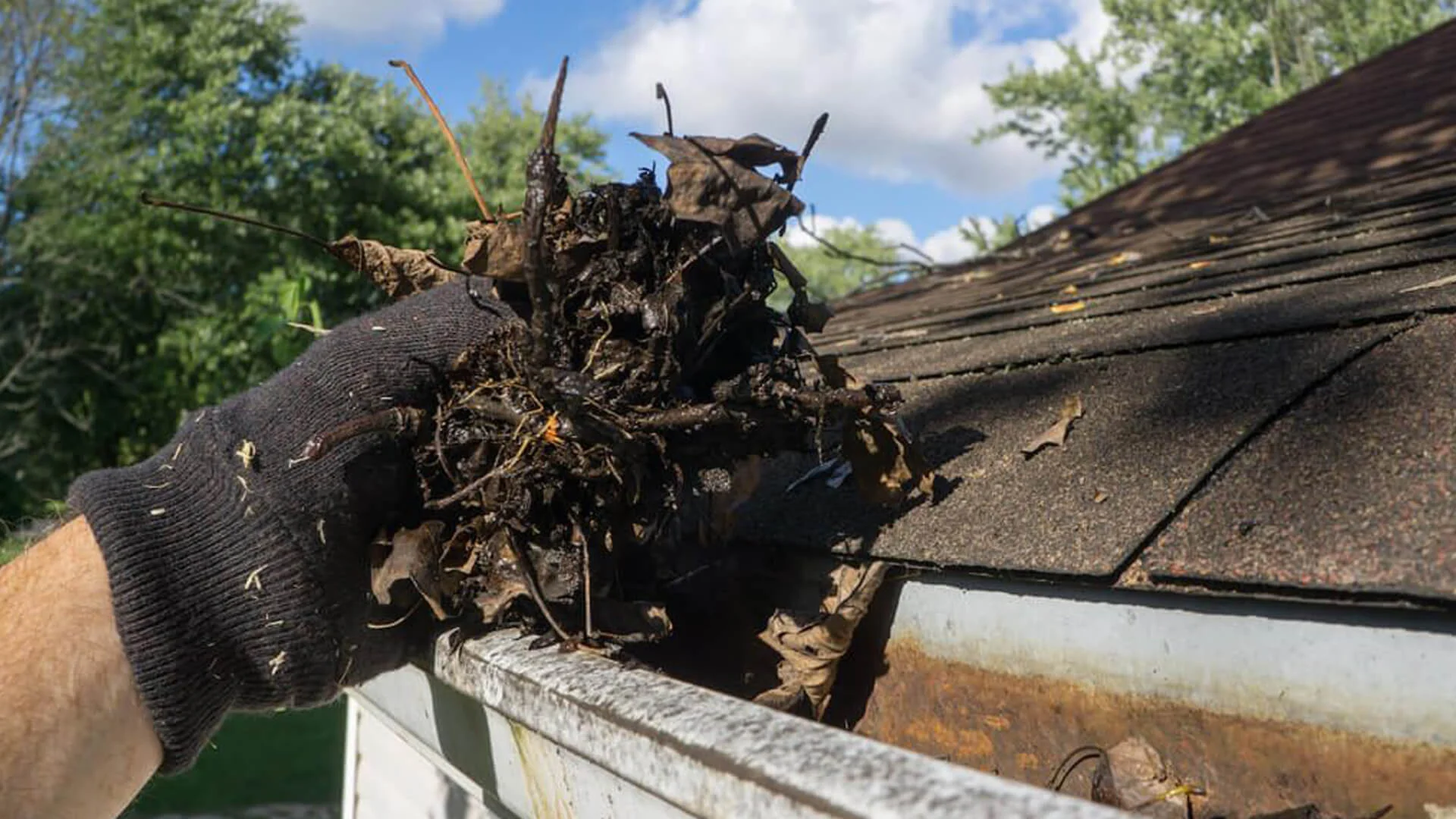 Gutter Cleaning Services in Madison