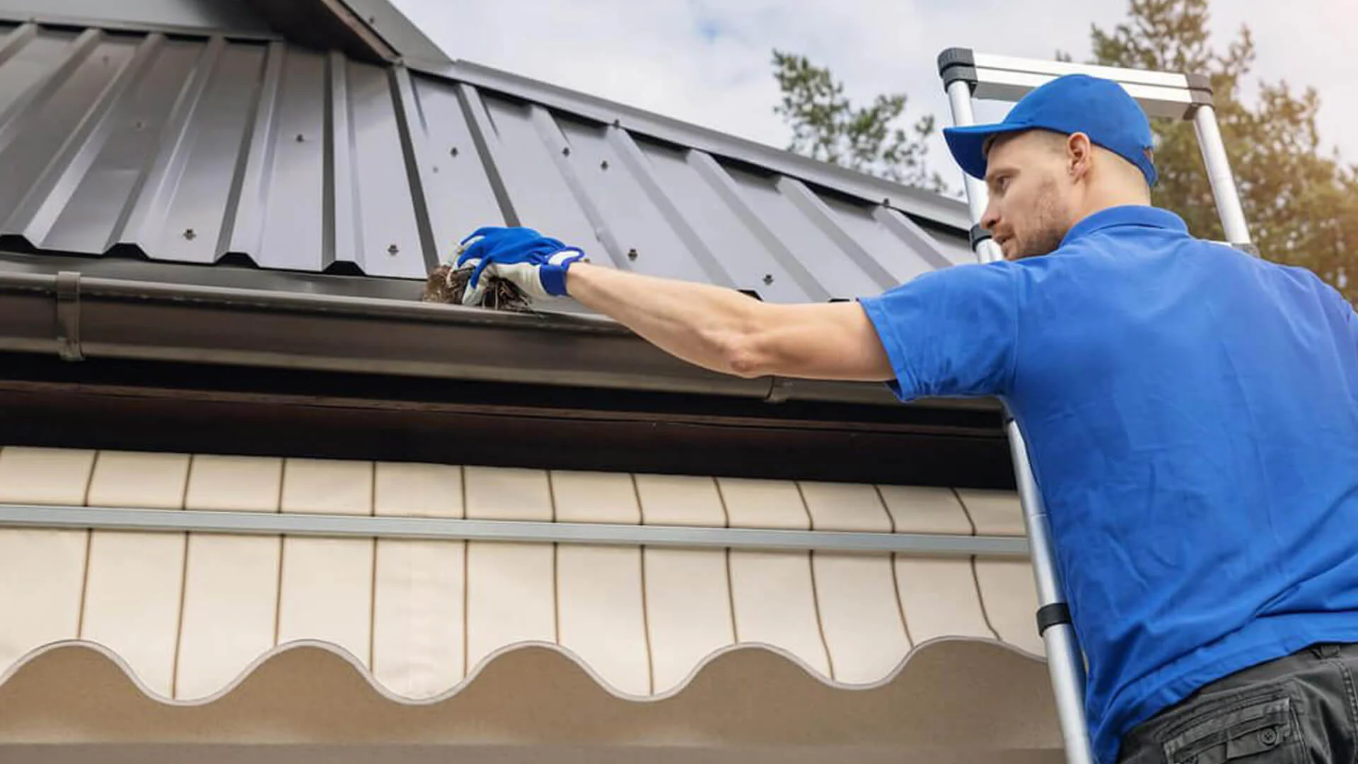 Gutter Cleaning
